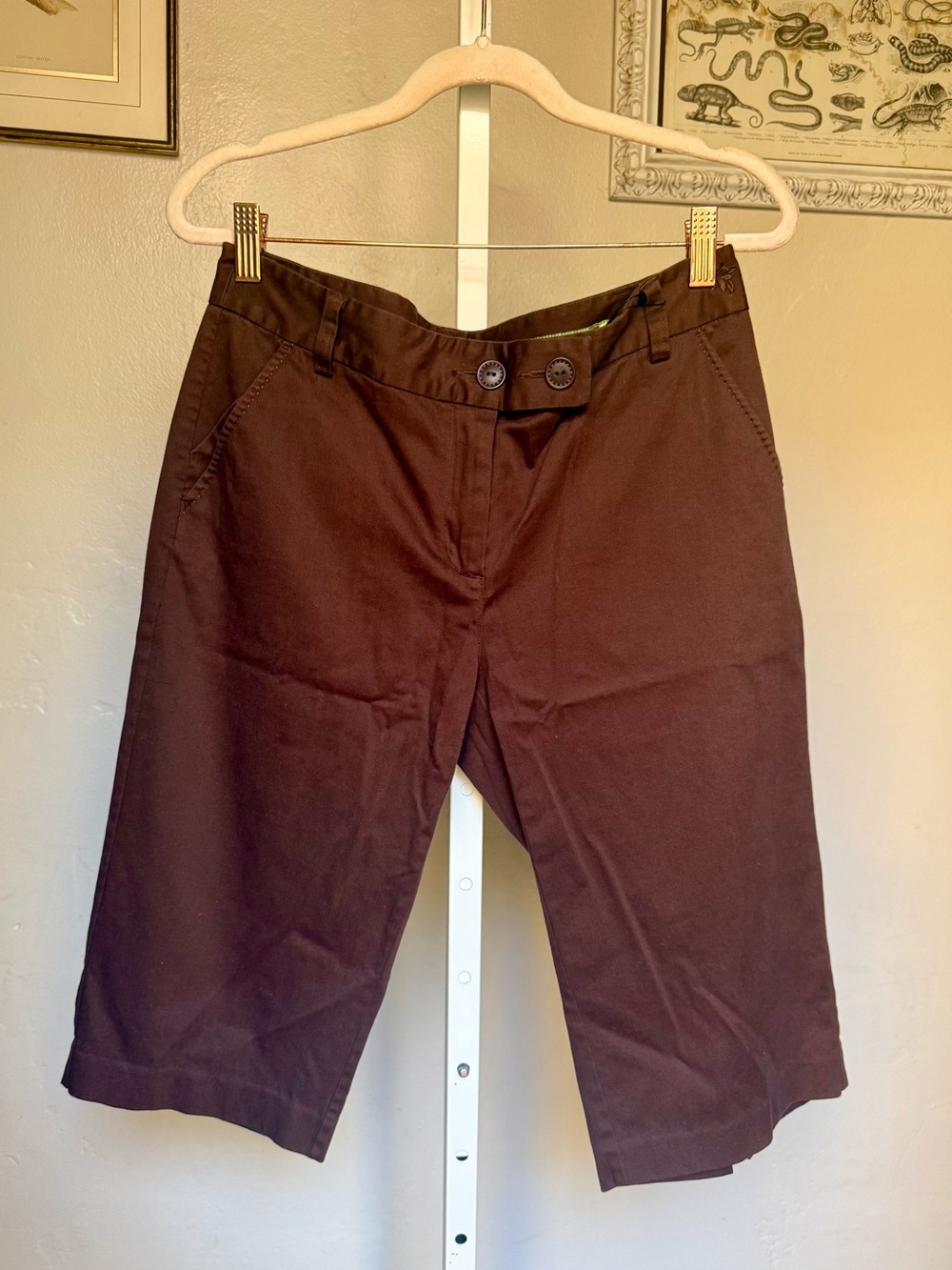 Tommy Bahama Dark Brown Women's Bermuda Shorts Capris Size 6